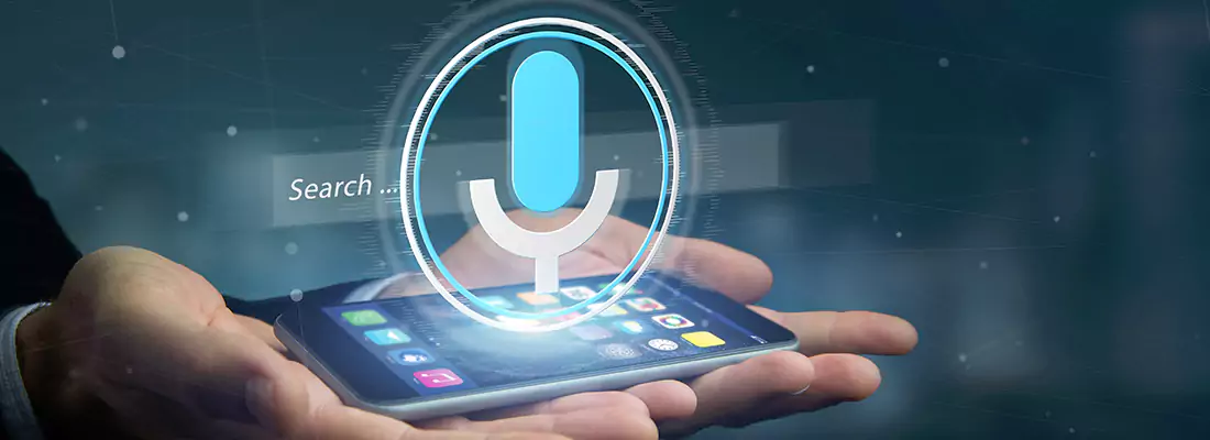Enhance Security with Voice Recognition Access Systems in Sarasota Springs, FL