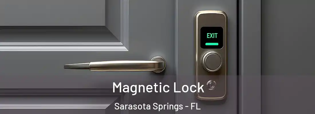  Magnetic Lock Sarasota Springs - FL